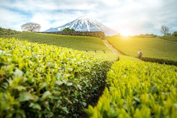 静岡のパパは結構お金持ちかも？ 